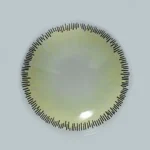 عدسة أنستاتك ليما - الصورة 2