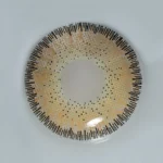 عدسة أنستاتك شادو - الصورة 2